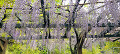 img20240429085332_thumb.jpg