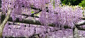 img20240429085735_thumb.jpg