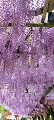 img20240429090252_thumb.jpg