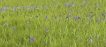 img20240512091056_thumb.jpg