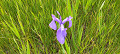 img20240512091619_thumb.jpg