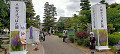img20240512101949_thumb.jpg
