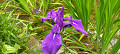 img20240512102733_thumb.jpg