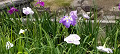 img20240512112001_thumb.jpg