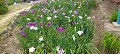 img20240512112021_thumb.jpg