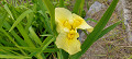 img20240512112122_thumb.jpg