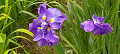 img20240512112300_thumb.jpg