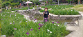 img20240512112919_thumb.jpg