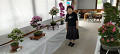 img20240512114118_thumb.jpg