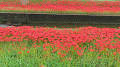 img_1040_thumb.jpg