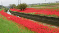 img_1041_thumb.jpg
