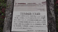 s1080123_thumb.jpg