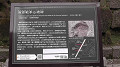 s1140029_thumb.jpg