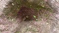 s1140030_thumb.jpg