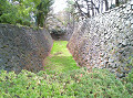 anmp0036_thumb.jpg