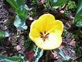anmp0038_thumb.jpg