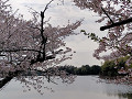 img20250410084612_thumb.jpg