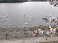 img20250410085516_thumb.jpg