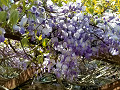 img20250417125111_thumb.jpg