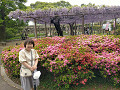 img20250422121121_thumb.jpg