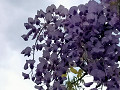 img20250422121215_thumb.jpg