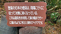 img20250428100200_thumb.jpg