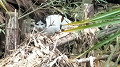 img20250428131013_thumb.jpg