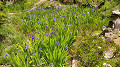 img20250507124152_thumb.jpg