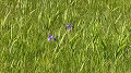 img20250507135651_thumb.jpg