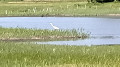 img20250507135914_thumb.jpg