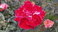 img20250523092601_thumb.jpg