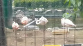 img20250530111615_thumb.jpg