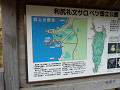 p1000110_thumb.jpg