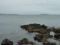 p1000136_thumb.jpg