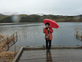 p1000175_thumb.jpg