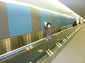 p1000268_thumb.jpg