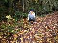 05111205_thumb.jpg
