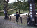 05111906_thumb.jpg