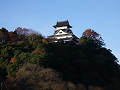 05120303_thumb.jpg